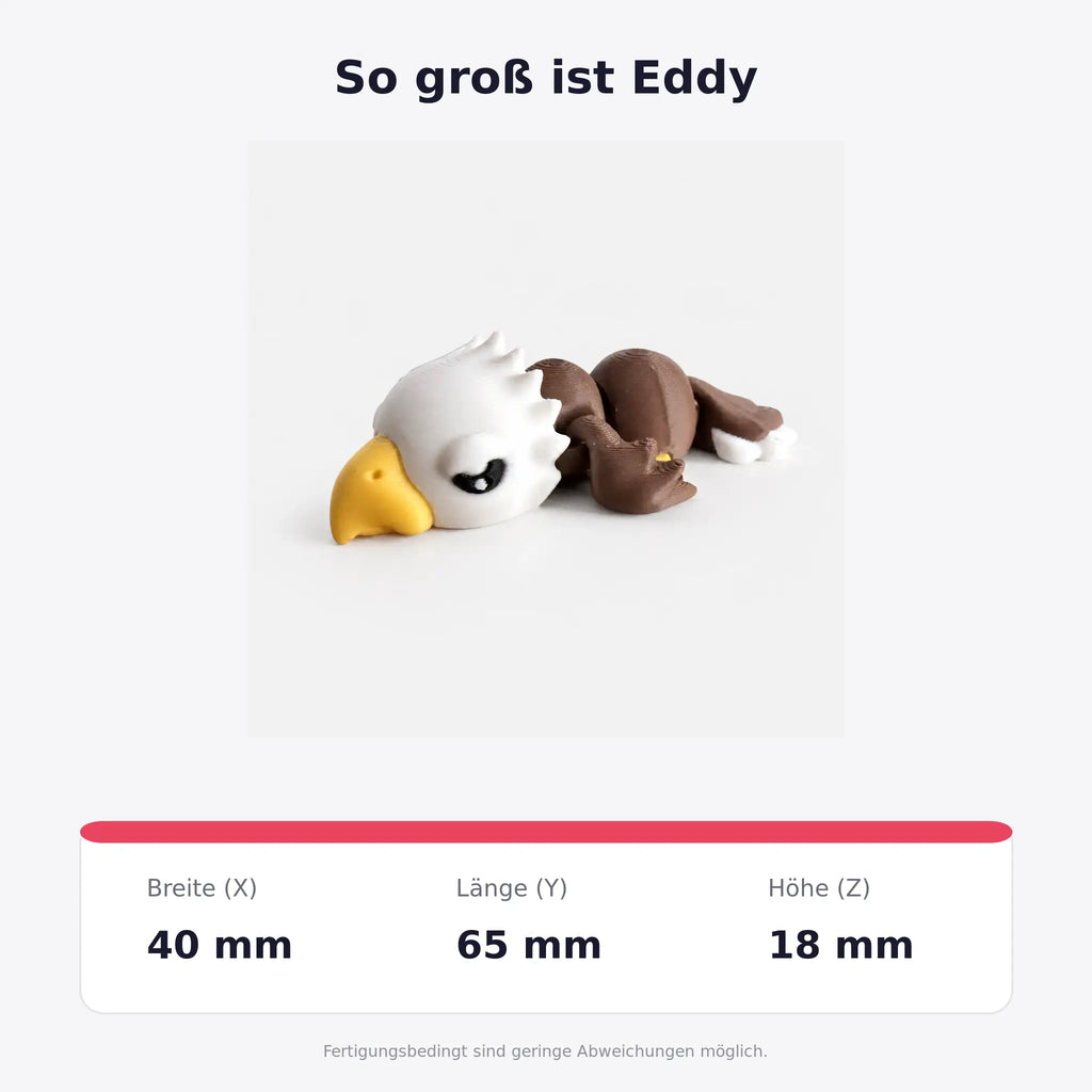 Eddy – Abmessungen in Millimetern